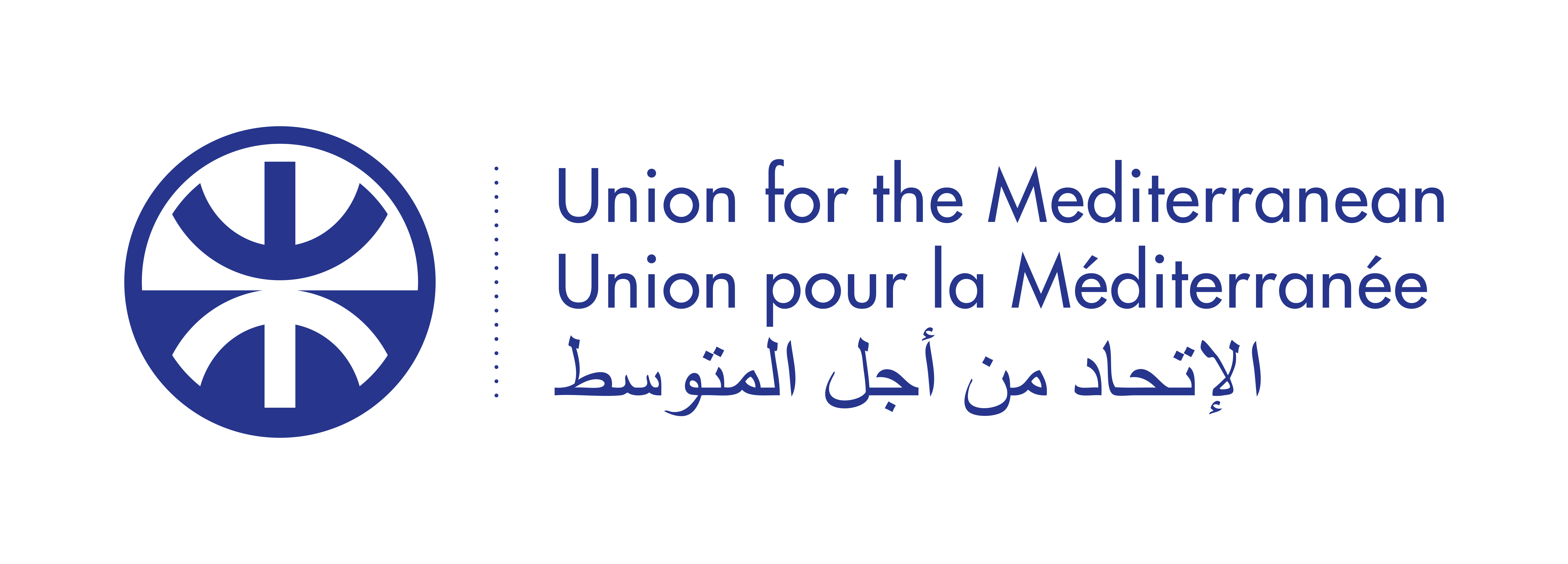 Union for the Mediterranean (UfM)